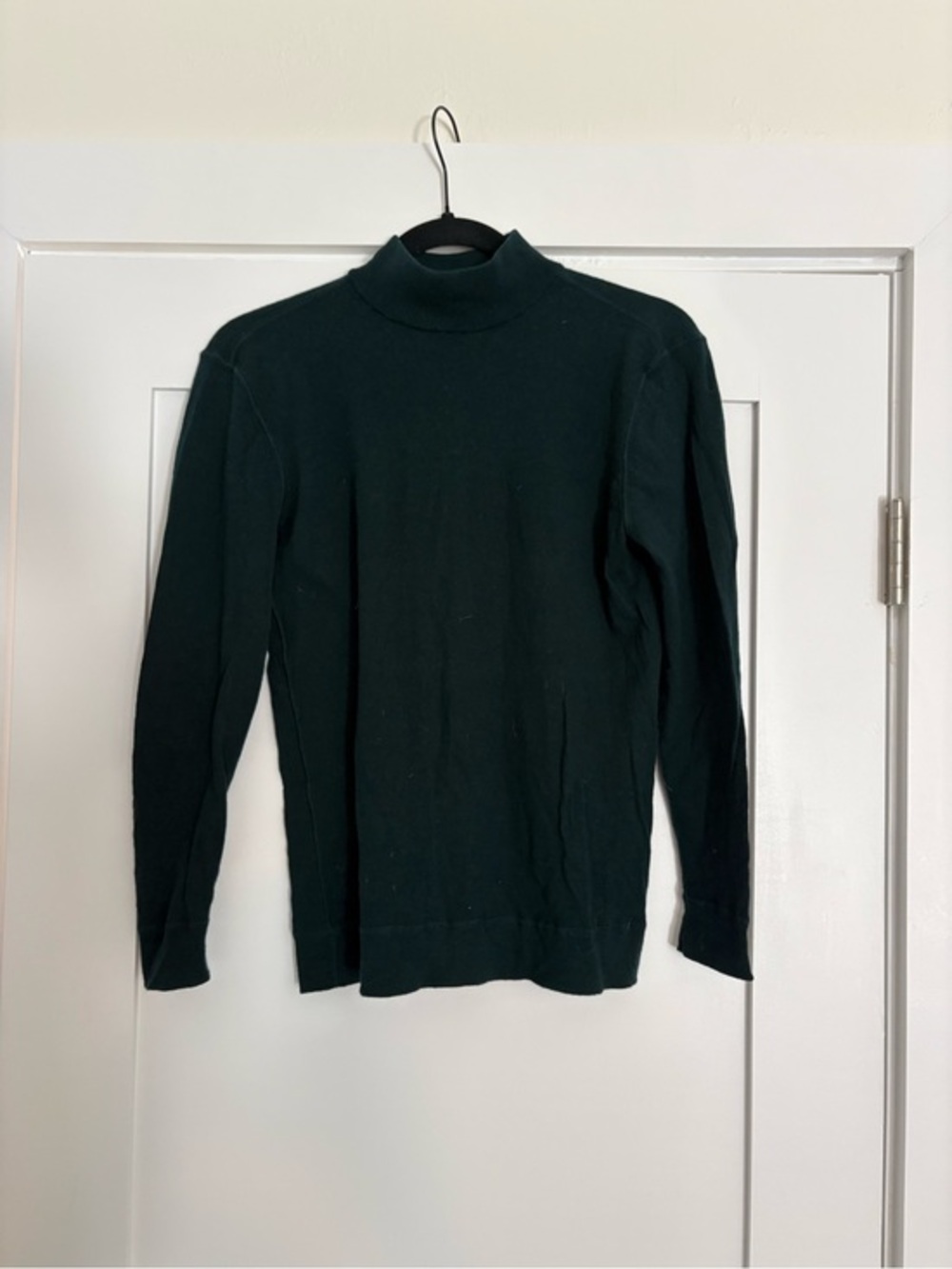 Everlane 100% Wool Dark Green Mock Neck Turtleneck Knit Sweater - Medium